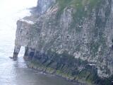 Bempton Cliffs